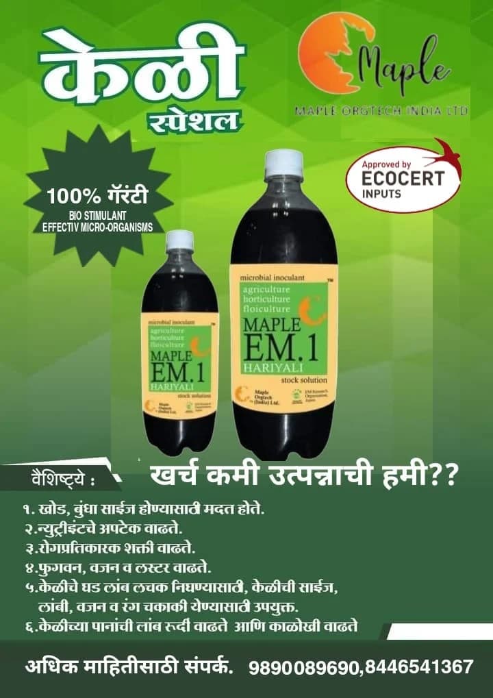 MAPLE EM1 HARIYALI – Effective Microorganisms आधारित आधुनिक कृषी उपाय