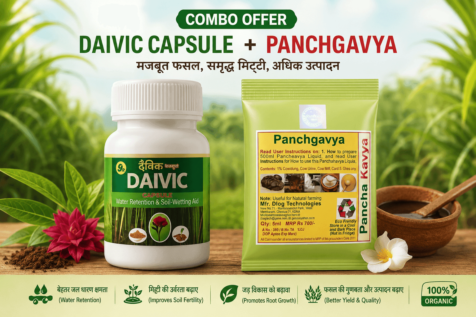 Daivik Capsule + Panchgavy Combo